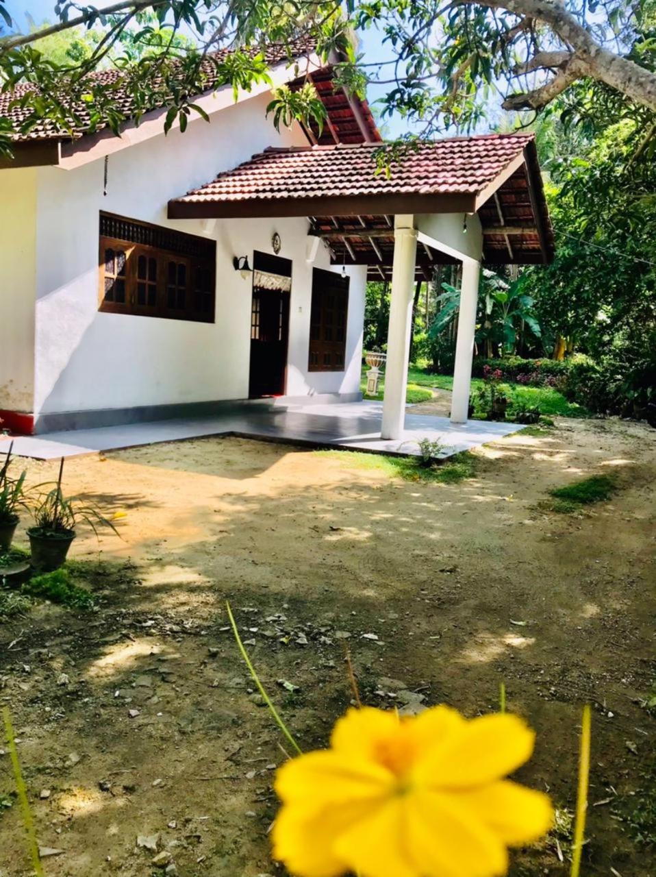 Apartamento Lucky Mongrooves Midigama East Exterior foto